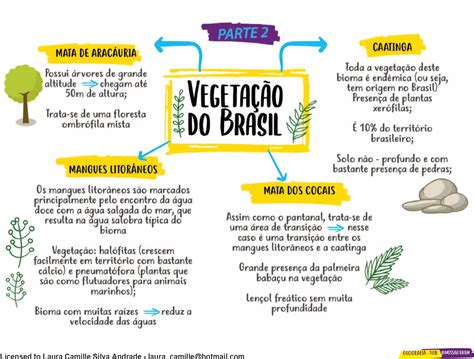 FÓrmula Geo Mapa Mental E Resumo Sobre A Vegetação Do Brasil