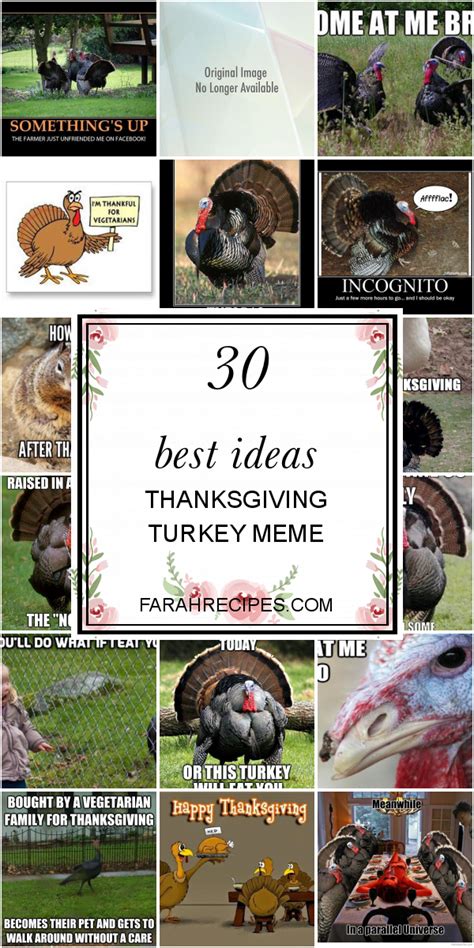 30 best ideas thanksgiving turkey meme most popular ideas of all time