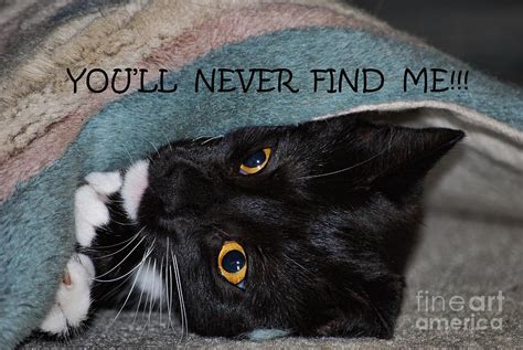 Youll Never Find Me Photograph By Judy Wolinsky Pixels