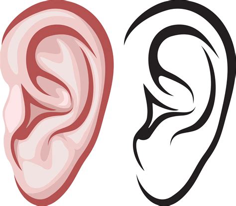 Human Ear Icon 3190452 Vector Art At Vecteezy
