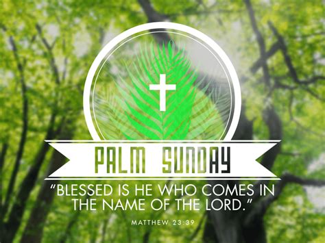 Palm Sunday Pictures For Facebook And Whatsapp Oppidan Library