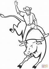 Bull Rodeo Coloring Riding Drawing Drawings Horse Printable Ferdinand Roping Bucking Cowboy Pbr Clipart Team Man Getdrawings Getcolorings Clipartmag Categories sketch template