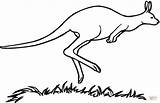 Coloring Kangaroo Pages Australian Printable Dot Drawing sketch template