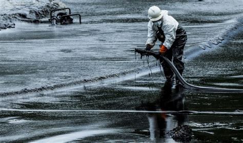 Effects Of Oil Spills On Marine And Human Life American Oceans