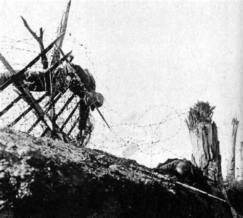 Fallen German Soldiers In The Barbed Wire With Images Battle Of The
