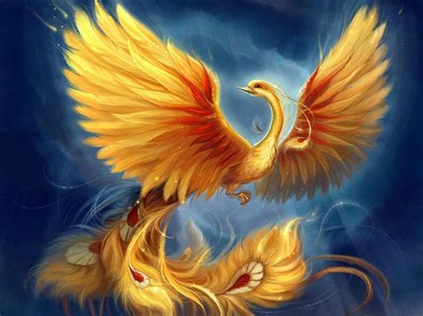 Mythical Phoenix Quotes Quotesgram