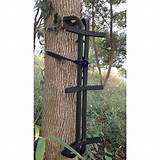 Climbing Sticks For Tree Stands Pictures
