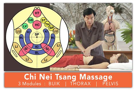 Chi Nei Tsang Massage Buik Thorax En Pelvis Yinyang Balance