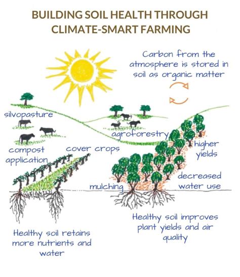 Building Soil Health Through Climate Smart Farming San Pasqual Valley