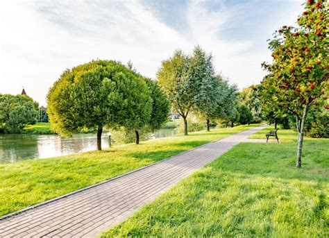 Walking Path In The Summer Park On A Clear Sunny Day Stock Photo