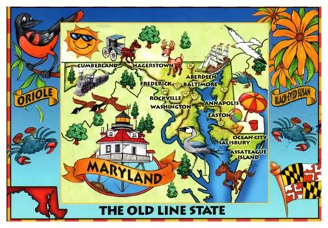 Maryland Old Line State Map Cities Landmarks Flag Chrome Wob Postcard