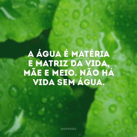 Conscientização Da Agua Frases