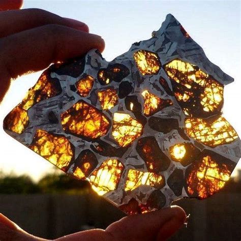 Pallasite Meteorites Expensive Finds Worth Over 1 Million Md Hunter