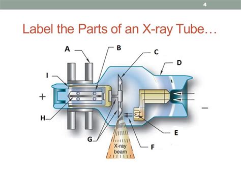 X Ray Tube Parts And History Diagram Quizlet