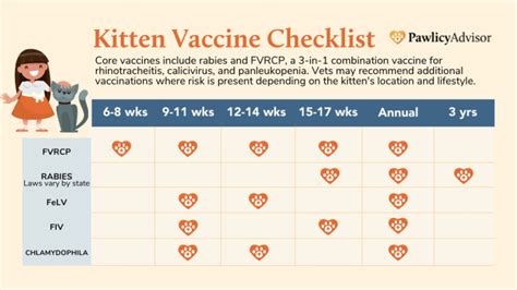 Kitten Vaccine Schedule For First Year Shots Chart Pawlicy Advisor