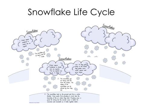 Free Printable Snowflake Life Cycle Word Pictures And Cycling