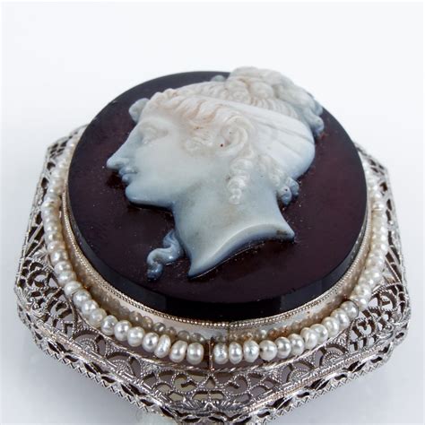 14k White Gold And Onyx Cameo Brooch Ebth