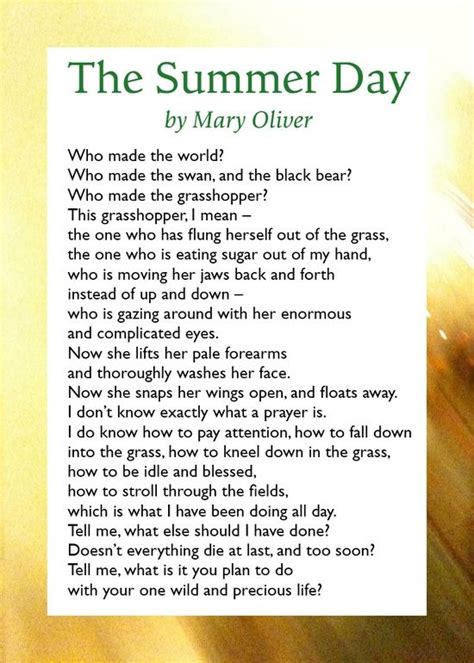 Pin By Night Bird On Poetry Mary Oliver Mary Oliver Poems Mary