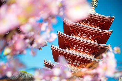Sensoji Temple Asakusa Kannon Asakusa Attractions In Tokyo Go Guides