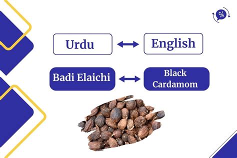 What Is Badi Elaichi Called In English Called In English