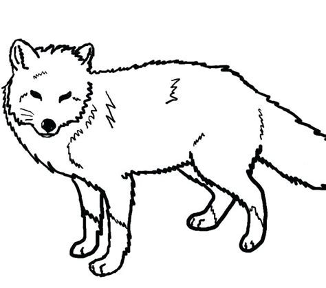 Arctic Fox Coloring Pages To Download And Sketch Coloring Page