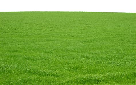 Green Grass Png Image Free Download Photo Field Of Grass Free