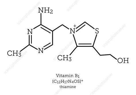 Molecular Structure Of Vitamin B1 Stock Image C0404328 Science