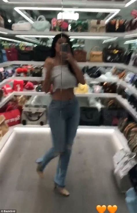 Kylie jenner isn't exactly known for her subtlety, and the fact that she has an entire room dedicated to storing purses is a testament to that. Kylie Jenner poses inside her $1M designer purse closet ...