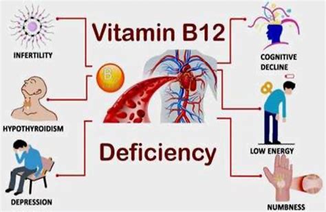 Vitamin B12 The Ever Important Nutrient What Your Genetics May Tell