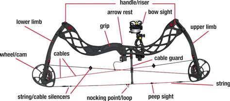 How Does A Compound Bow Work Beginners Guide