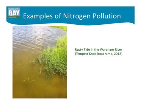 Solutions To Nitrogen Pollution Solving The Cranberry Puzzle