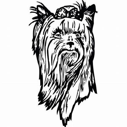 Yorkie Clipart Dog Drawing Line Rug Clip