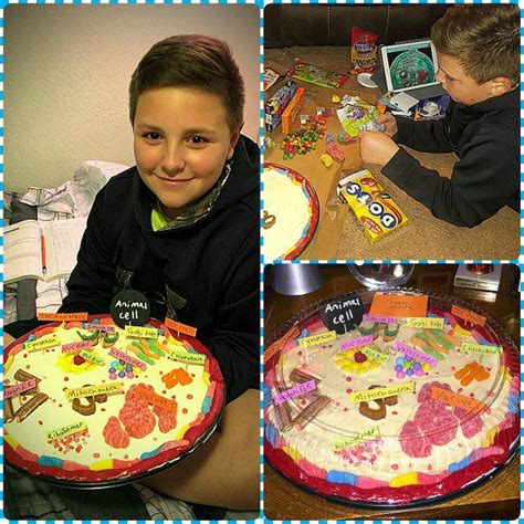 We did not find results for: Animal Cell • 6th Grade (Cookie/Candy) | Animal cell, Cell ...