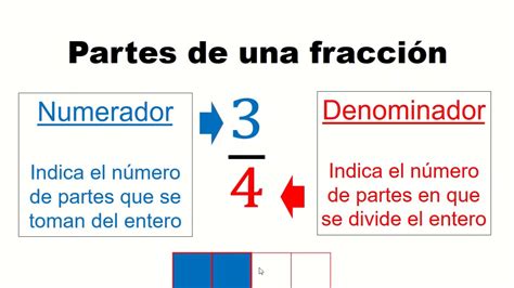 Partes De Una FracciÓn Youtube
