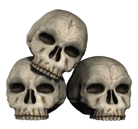 Free Transparent Skull Cliparts Download Free Transparent Skull