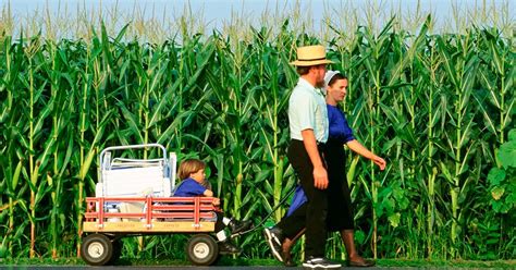 Amish Facts These Amazing Facts Will Teach You More About Their Culture