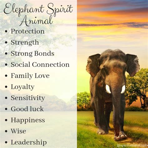 Ultimate Guide To Spirit Animals Power Animals And Totems Elephant