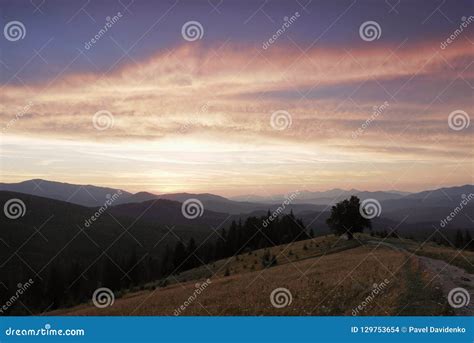 Mountain Landscape Lonely Tree Near The Hiking Path Stock Photo