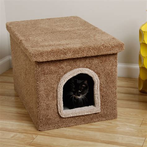 An Easy Diy Cat Litter Box Ideas Homesfeed