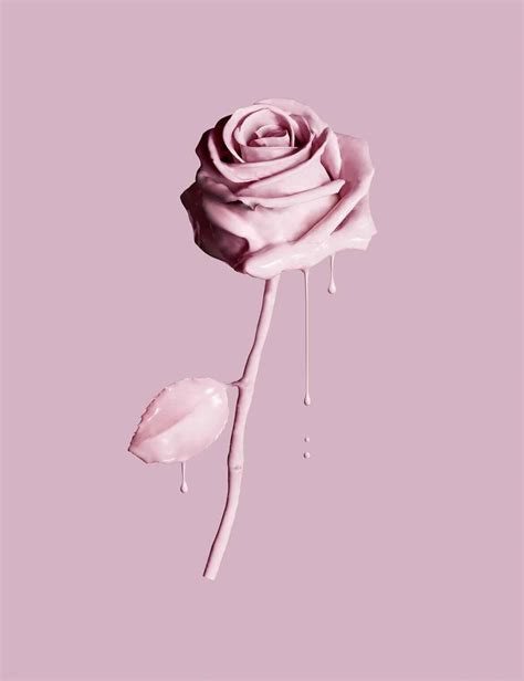 Aesthetics picsart photo studio sticker rtv pink aesthetic. rose pink pastel aesthetic drip freetoedit...