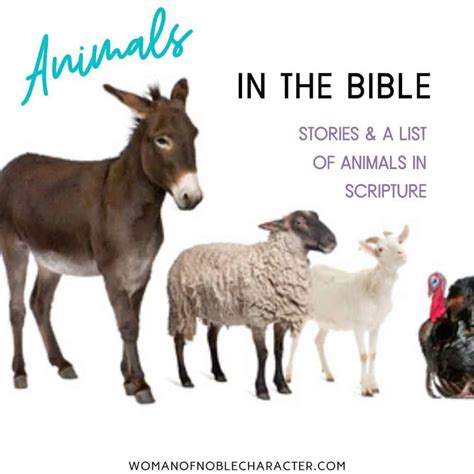 Animals In The Bible 14 Stories Of Animals God Used And A