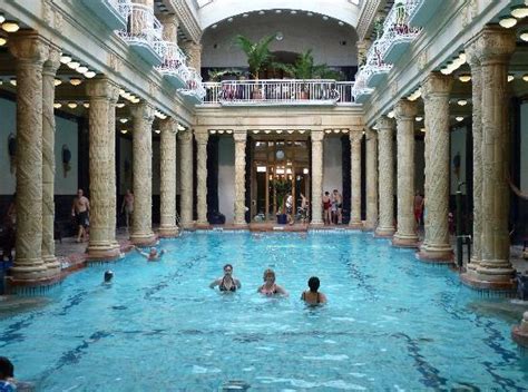 Throughout budapest are a whopping 123 therapeutic hot springs, but these, in the stately, slightly dusty hotel gellért (built in 1918) might be the most famous. Gellert baths - Picture of Danubius Hotel Gellert ...