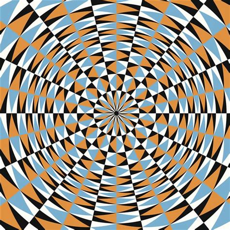 In The Minds Eye How Do Optical Illusions Work Science Struck