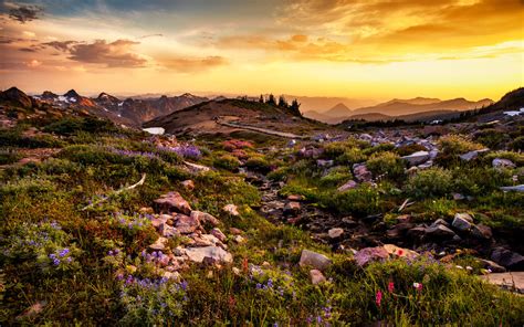 National Park Washington Usa Mount Rainier Landscape Sunset Beautiful