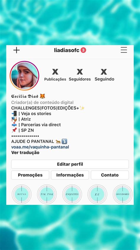 Bio Insta Ideias Biografia Instagram Ideias Perfis De Instagram Ideias