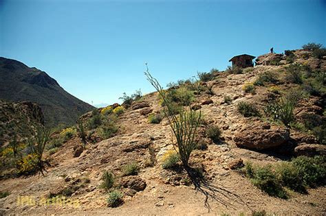 Desert Mountain Saguaro National Park Jmg Flickr