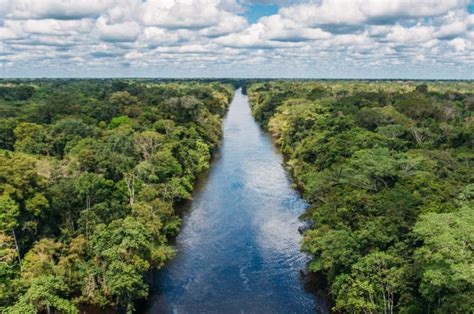 Why Peru Is The Best Country For Exploring The Amazon Rainforest Aqua