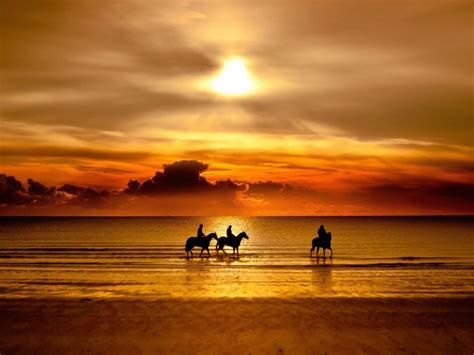 Beach Horse Riding Wallpaper | Free HD Sunset Image