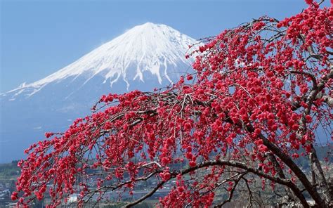 Mandarin Oriental Tokyo Offers Helicopter Tours Of Mount Fuji