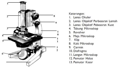 Gambar Bagian Bagian Mikroskop Beserta Fungsinya Temp Vrogue Co
